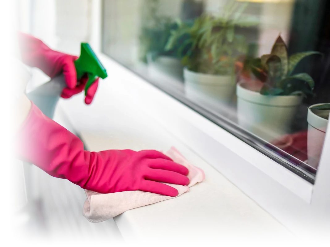 Gloved hands wiping a windowsill with a cloth and a spray bottle, potted plants behind the glass